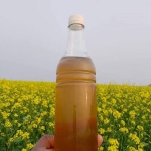 খাঁটি সরিষা ফুলের জমে যাওয়া সাদা মধু